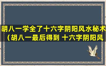 胡八一学全了十六字阴阳风水秘术（胡八一最后得到 十六字阴阳风水秘术 全书）